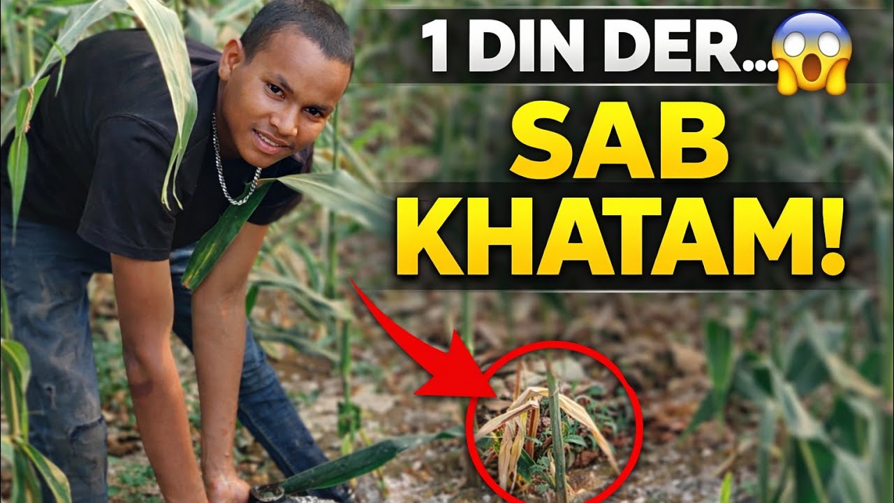 Khet Me Pani Dete Waqt Ye Ho Gaya 😱 | Real Village Farming Life