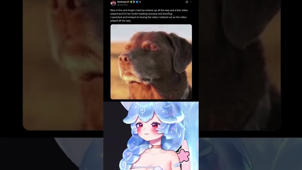 I'm Sorry For Barking 🐶