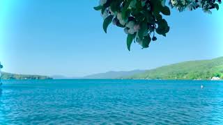 Blossom Season In Lake George