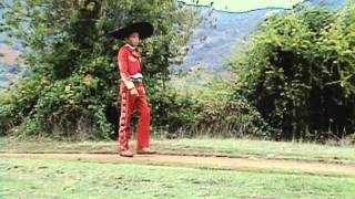 VICENTE VASQUEZ - OREJA RAJADA