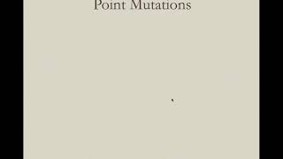 Evol  3 Mutation, gene flow and drift