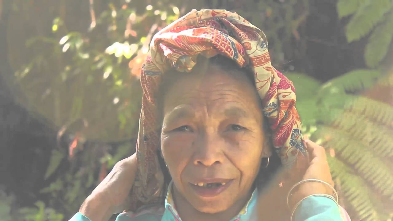 Kopi Mamasa - Cita Rasa Budaya Nusantara