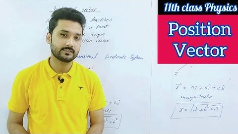 Position vector | class 11 physics | physics ka safar