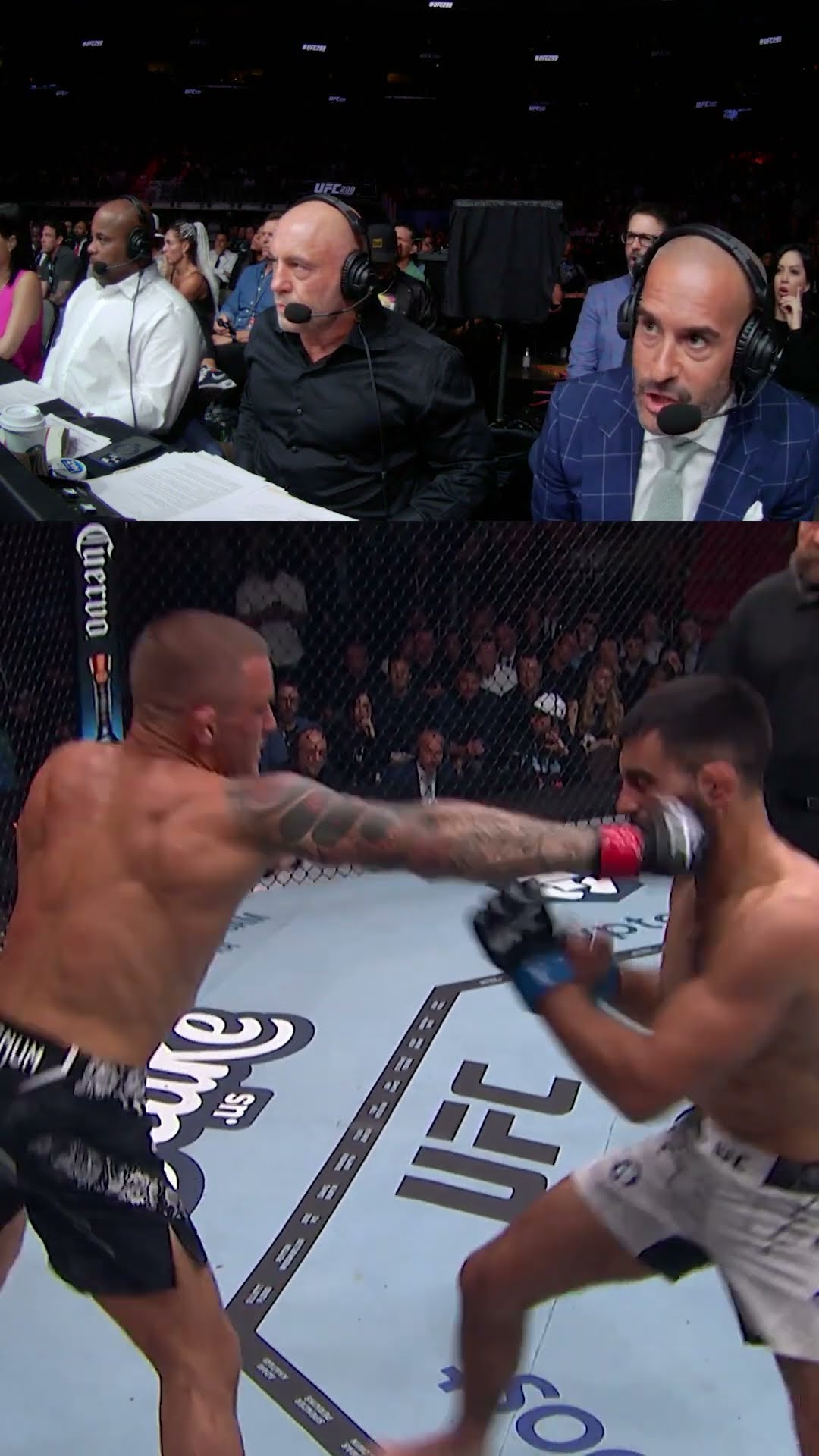 Joe Rogan's reaction to the Dustin Poirier KNOCKOUT ?