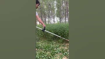 Lưỡi dao máy phát cỏ tự chế tại nhà bằng xích xe máy || TIPS NT #shorts