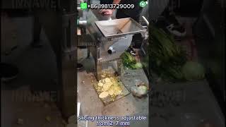Commercial Multi Function Electric Vegetable Cutter Machine for Slicing Dicing and Shredding