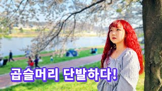 5년째 매직 중단! 곱슬머리 단발하다!