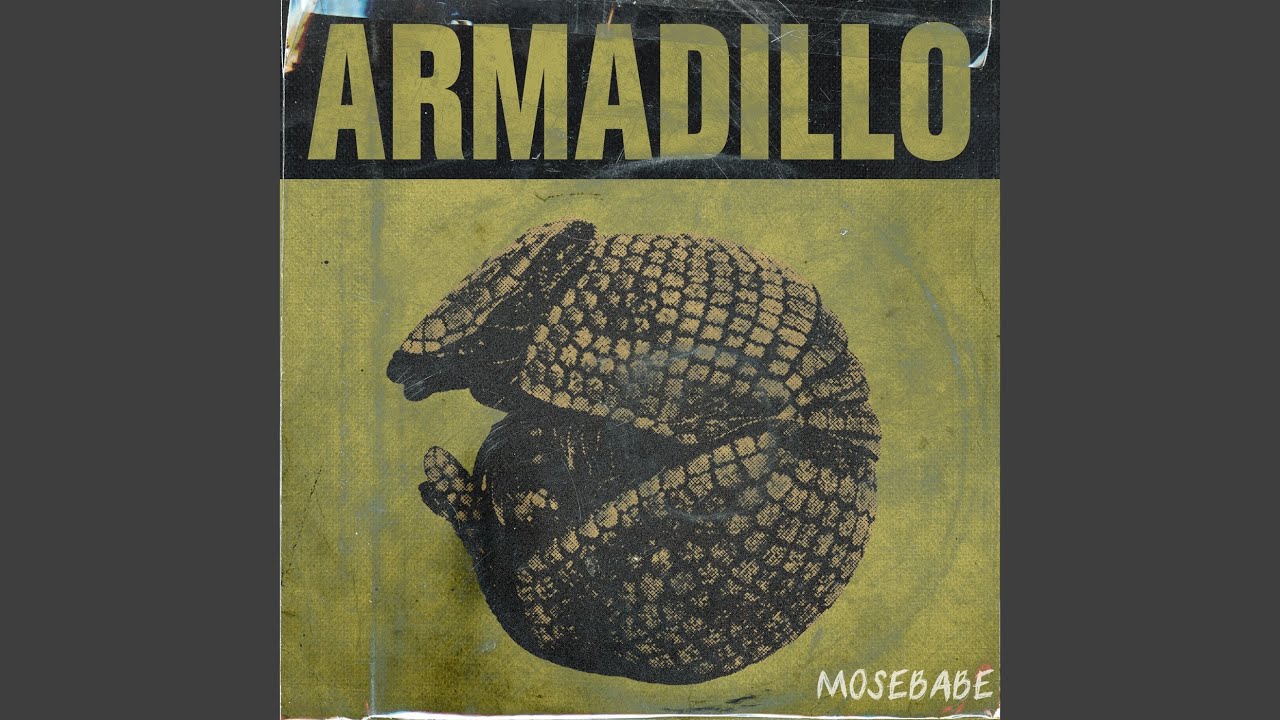Watch Armadillo on YouTube Watch Armadillo on YouTube