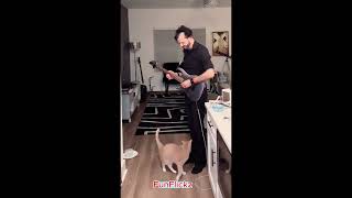 Animals Just Doing Silly Animal Things 🐾😂#funny  #funnyanimals  #pets  #fyp  #funnyanimalvideos