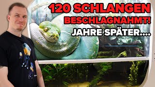 120 SCHLANGEN beschlagnahmt... Jahre später im TERRARIUM!