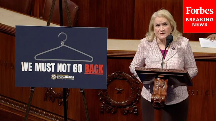 'We Will Not Go Back': Sylvia Garcia Argues For Ab...