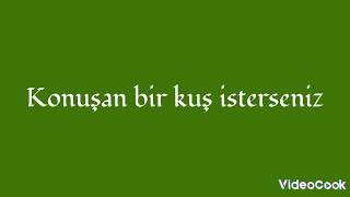 35Ferman35 İntro Tam Versiyonu Kanalımın 1.Yıldönümüne Özel Klip