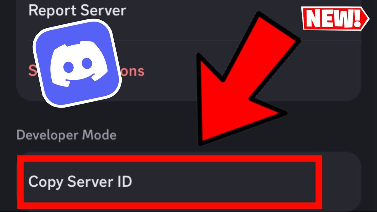 How to Find Server ID on Discord Mobile 2026 - YouTube