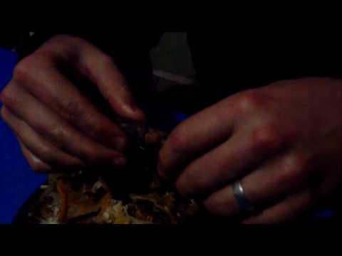 How To Eat a Piranha