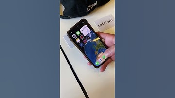 The Kale vs Cocaine Phone - with Opal