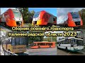Сборник осеннего транспорта Калининграда и Калининградской области 2023