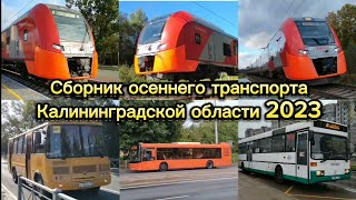 Сборник осеннего транспорта Калининграда и Калининградской области 2023