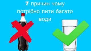 7 Причин Чому Потрібно Пити Багато Води