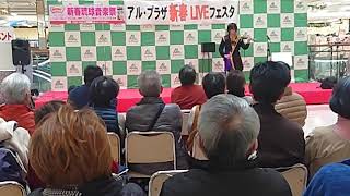 Download Lagu Ryukyuish Reels - チンチナー/くーぶきー