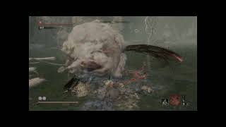 2023 04 18 23 02 46 獅猿