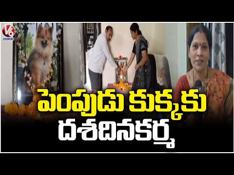 Family Get Emotional After Losing Their Pet | Peddapalli | V6 News - V6NEWSTELUGU