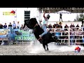 ¡¡ EL PODERIO DE LOS VIKINGOS !! Rancho El Navegante en Jamaica, Michoacán.