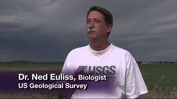 Terrestrial CO2 Sequestration