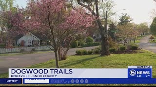 Dogwood Trails celebrates 70 years of showcasing Knoxville's natural beauty