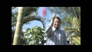 Gema Yo Te Amo ( YOUTUBE Version )