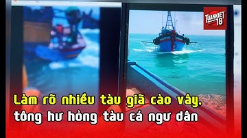 Làm rõ nhiều tàu giã cào vây, tông hư hỏng tàu cá ngư dân