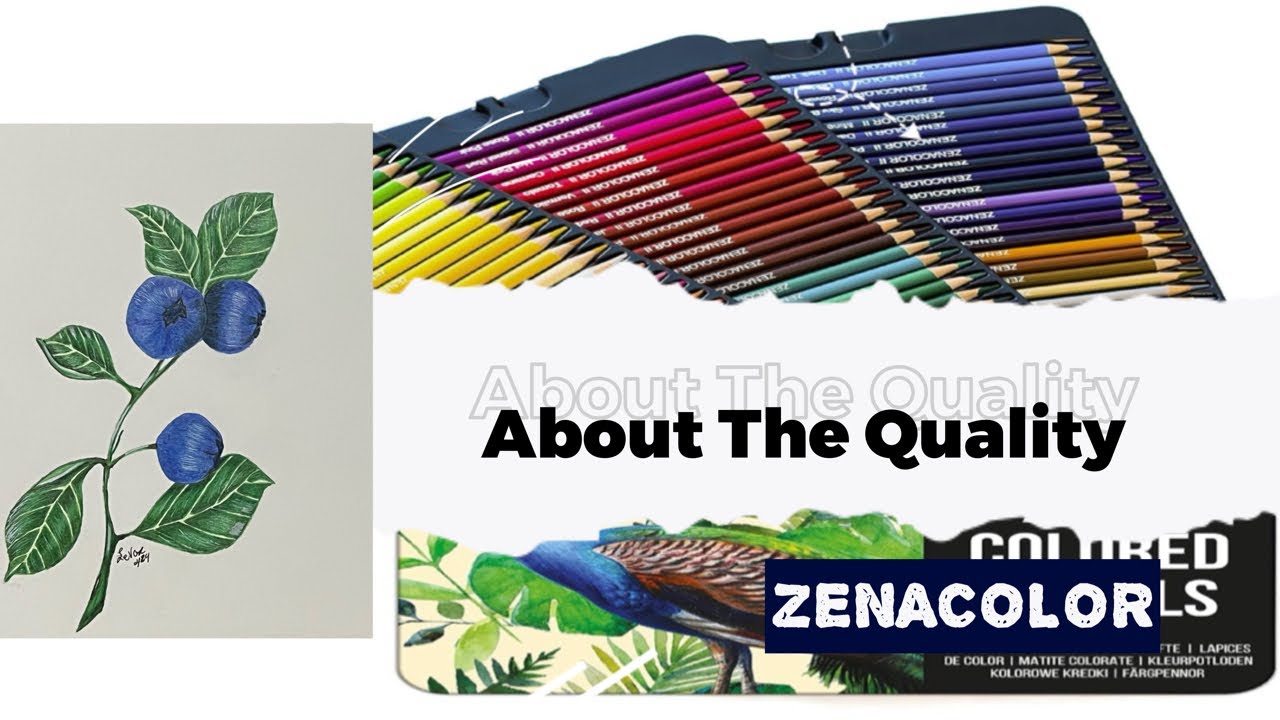 Review & Demo Zenacolor Color Pencils YouTube