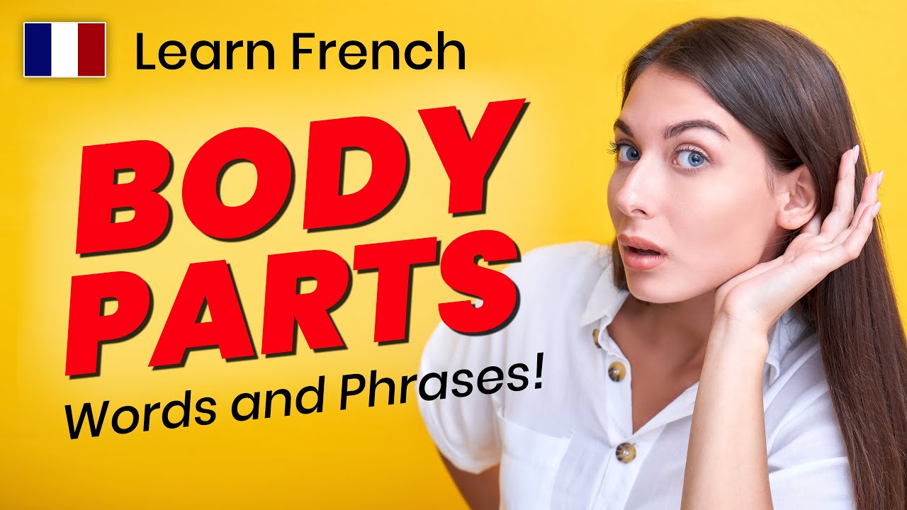 Body Parts in French Words and Phrases! YouTube