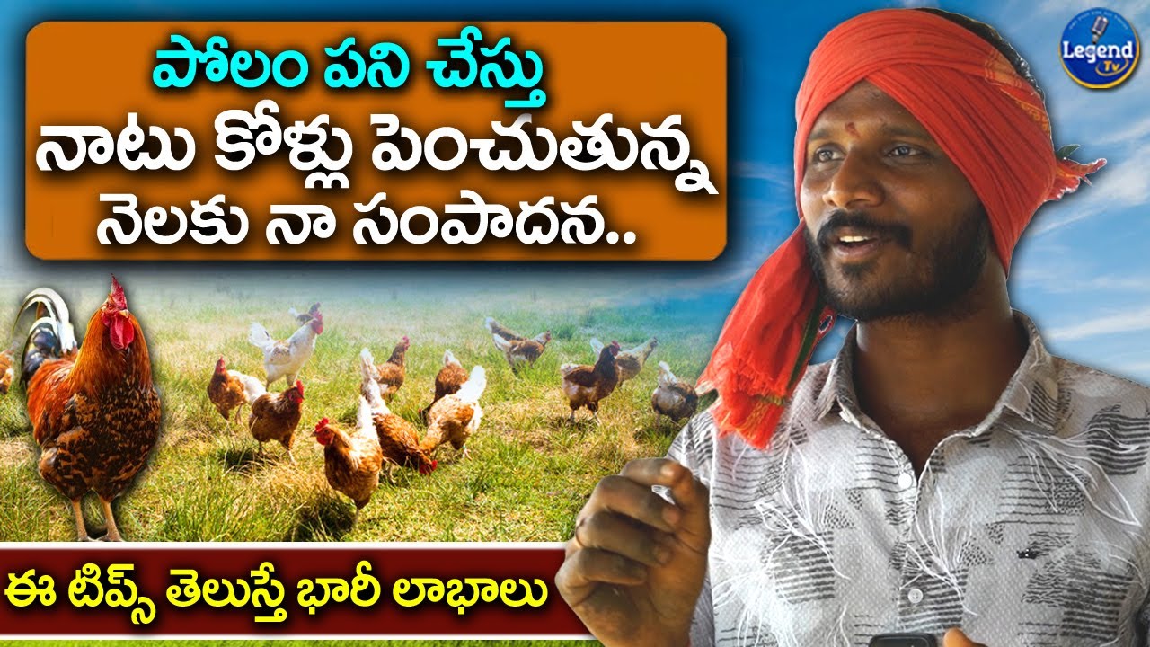నాటు కోళ్లు పెంచుతున్న సురేష్ || Country Chicken Farming || @LegendTvTelugu1