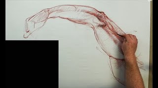 ANATOMY FOR ARTISTS:  Upper and Lower arm Demonstrations (figure model redacted)
