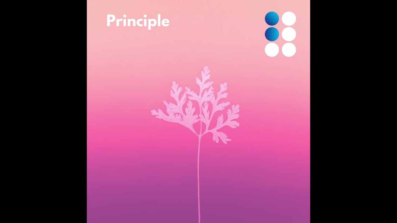 Watch Baum - Principle on YouTube Watch Baum - Principle on YouTube
