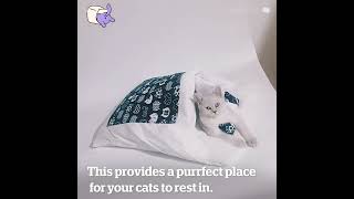 The Only Cat bed You'll Ever Need - The Kitty Sack