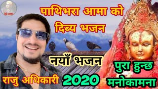 New Nepali Bhajan 2020 | Devi Timro  | Raju Adhikari | New Pathibhara Mata Bhajan 2020 screenshot 4