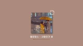 [Playlist] 솔직히 봄 노래는 내가 항상 책임지지 않냐? 사랑한다. l 노동요 플레이리스트 광고없음 설레는 노래모음