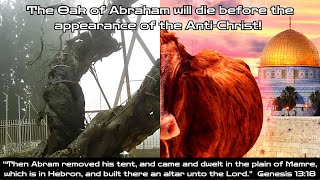 The dead of Abraham's Oak of Marme in Palestine before the appearance of the Anti Christ!