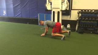 Reverse Bear Crawl Low