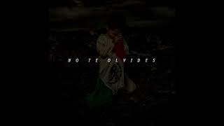 Neto Reyno // No Te Olvides
