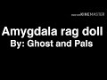 Amygdala rag doll lyics