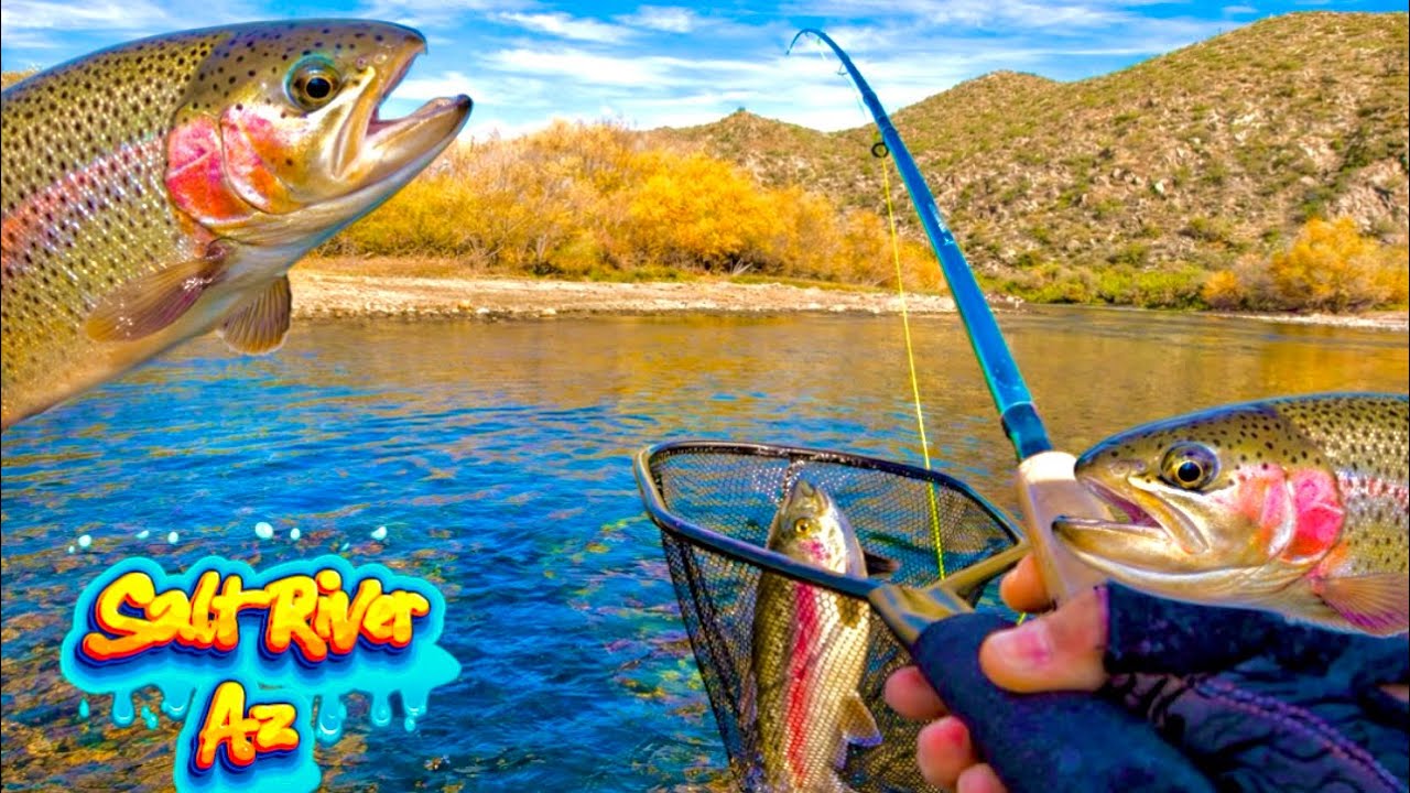 Salt River Az trout fishing 