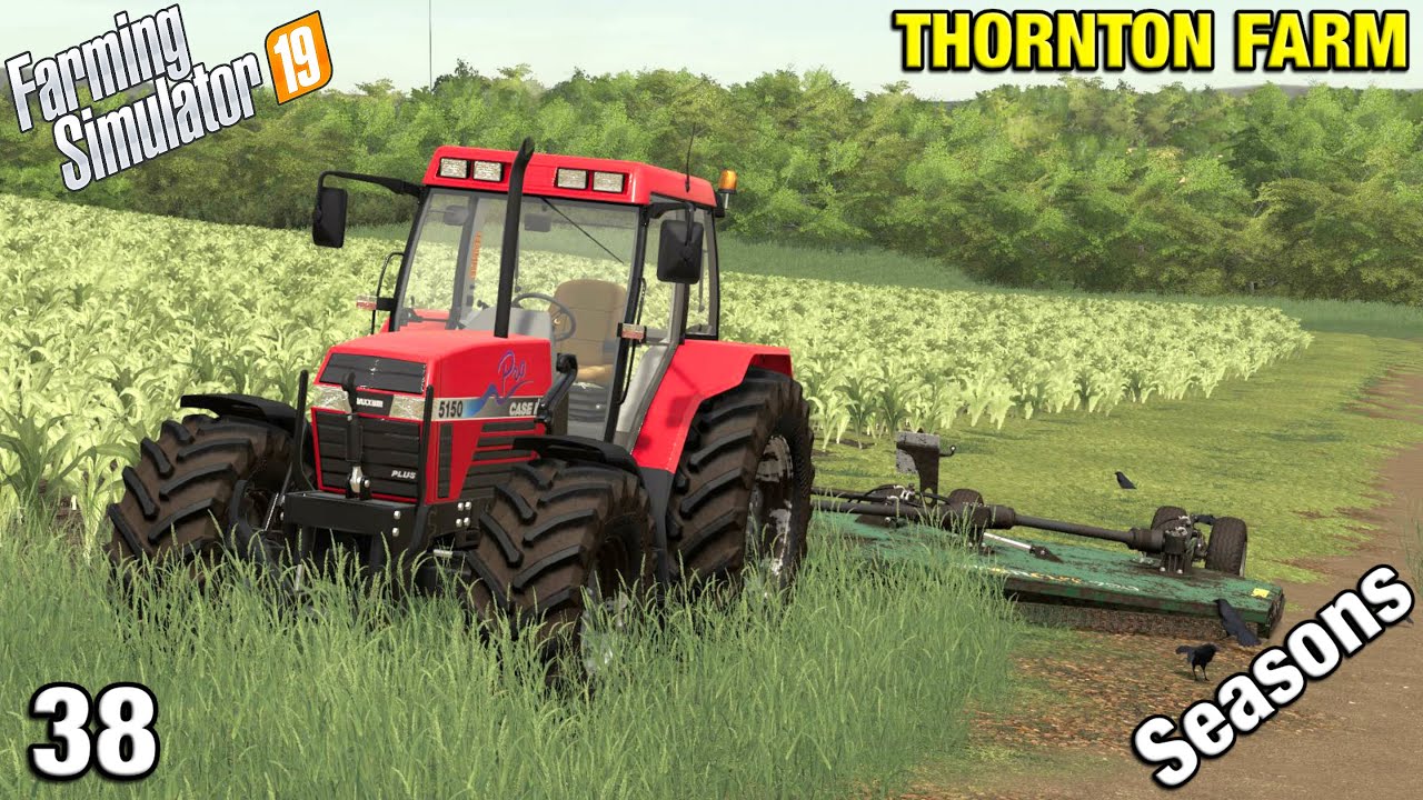BUYING A SMALL YARD TRACTOR Thornton Farm Timelapse - FS19 Ep 38