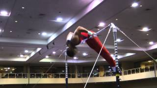 Josh Dixon - High Bar  - 2014 Winter Cup Prelims