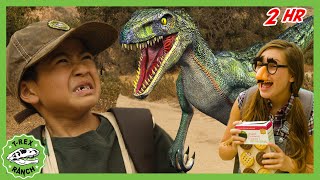 Dinosaur Cookie Disaster! + ALL Season 2! | TRex Ranch Dinosaur Videos