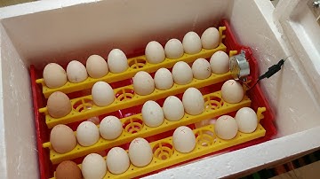 Инкубатора на ARDUINO +  Bluetooth + Android + online мониторинг