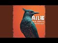 鸟儿摇dj X1 25 鸟儿摇dj X1 25