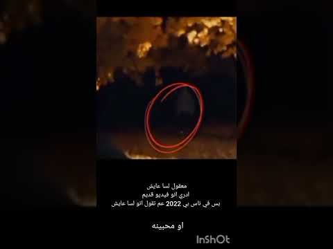 هل اكس اكس اكس تنتاسيون عايش