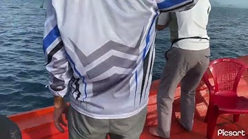 Câu cá nục bằng lông. Ko cần móc mồi